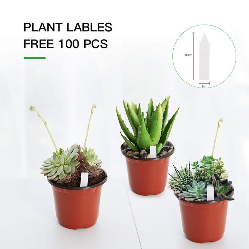 JERIA 100-Pack 6 Inch Plastic Nursery Pots Come with 100 Pcs Labels, Seedling Flower Plant Container and Seed Starting Pots - Image 3